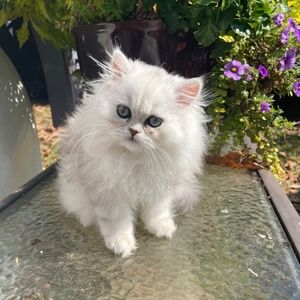 Meet your Posher, Heather